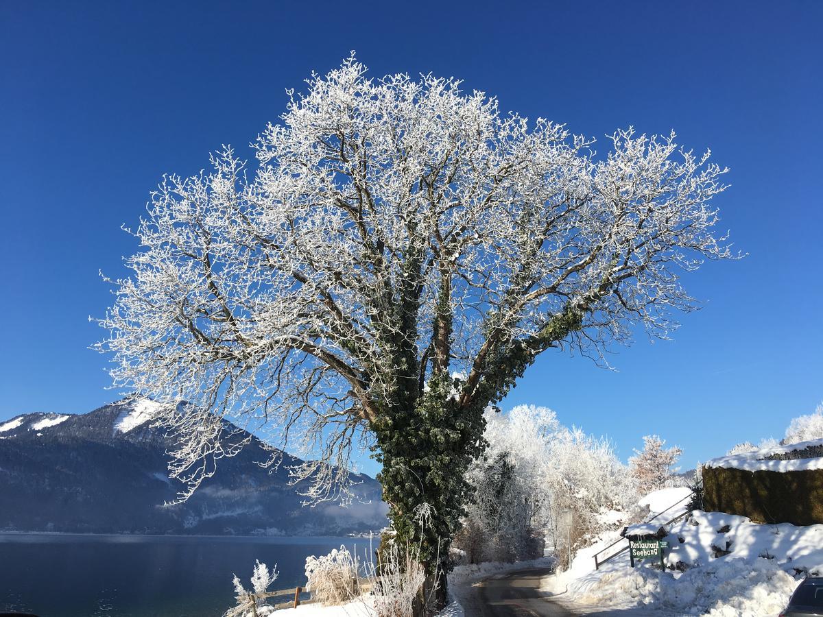 Hotel Seehang Garni Sankt Wolfgang im Salzkammergut Bagian luar foto